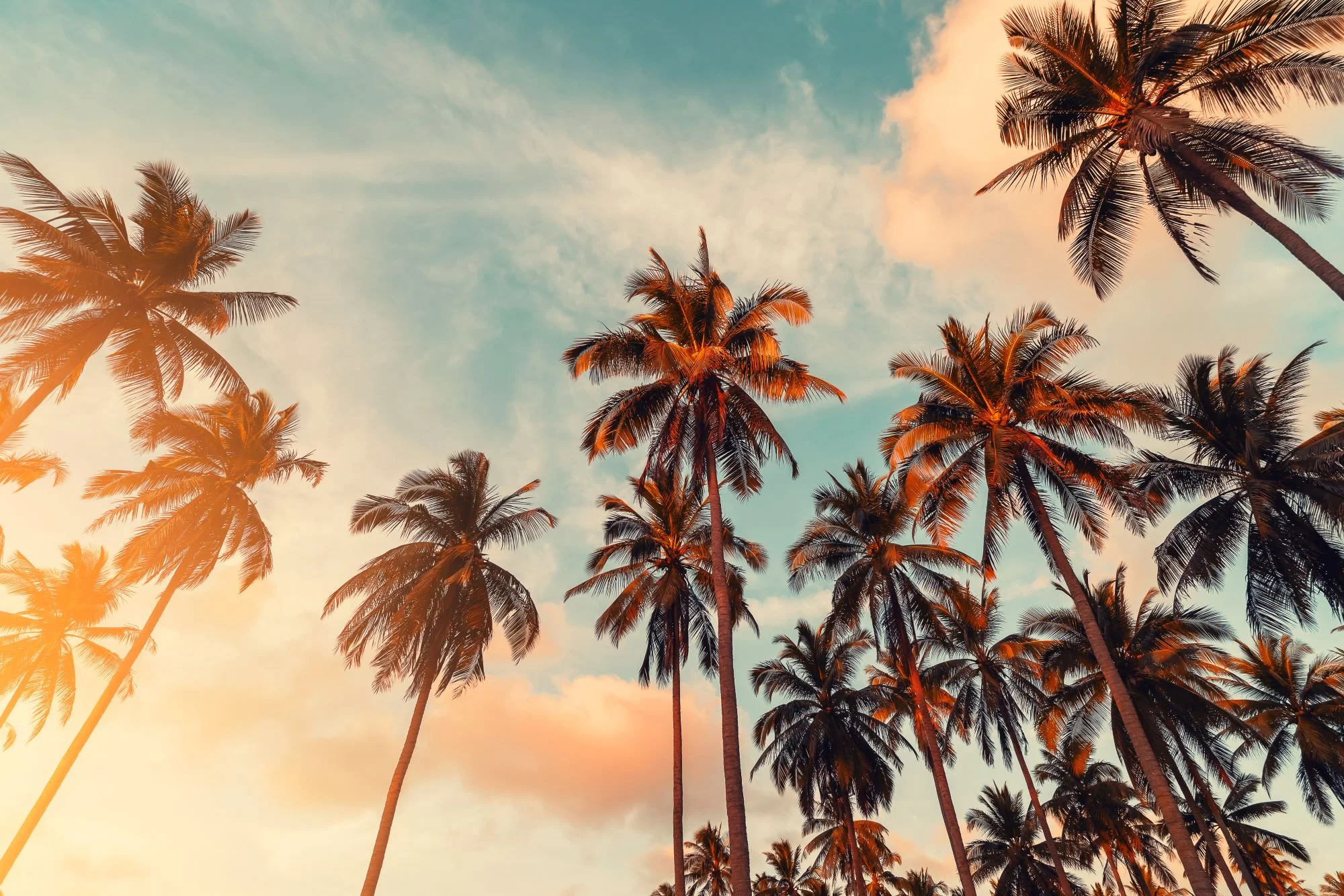 Carlsbad Property Managers