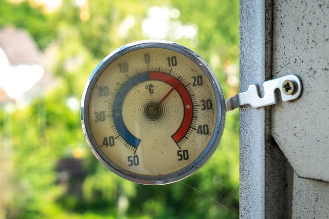 usa-reiseblogger-temperature-5439284_640 Round outdoor thermometer showing about 20°C, mounted on a wall with greenery in the background
